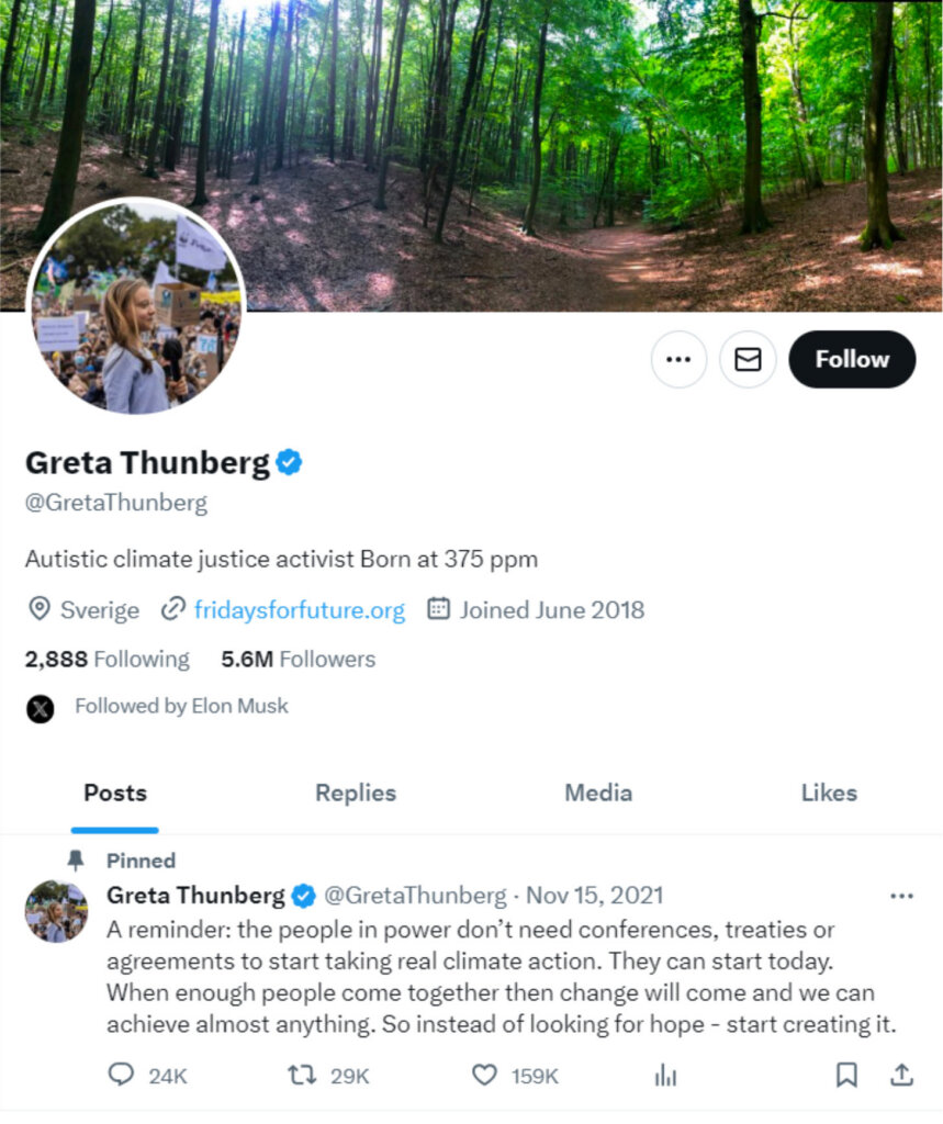 Bild zeigt Greta Thunberg Profil