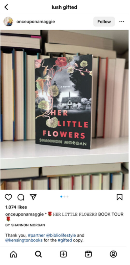 Bild-Verlag schickte einem Influencer ein Rezensionsexemplar eines Buches.