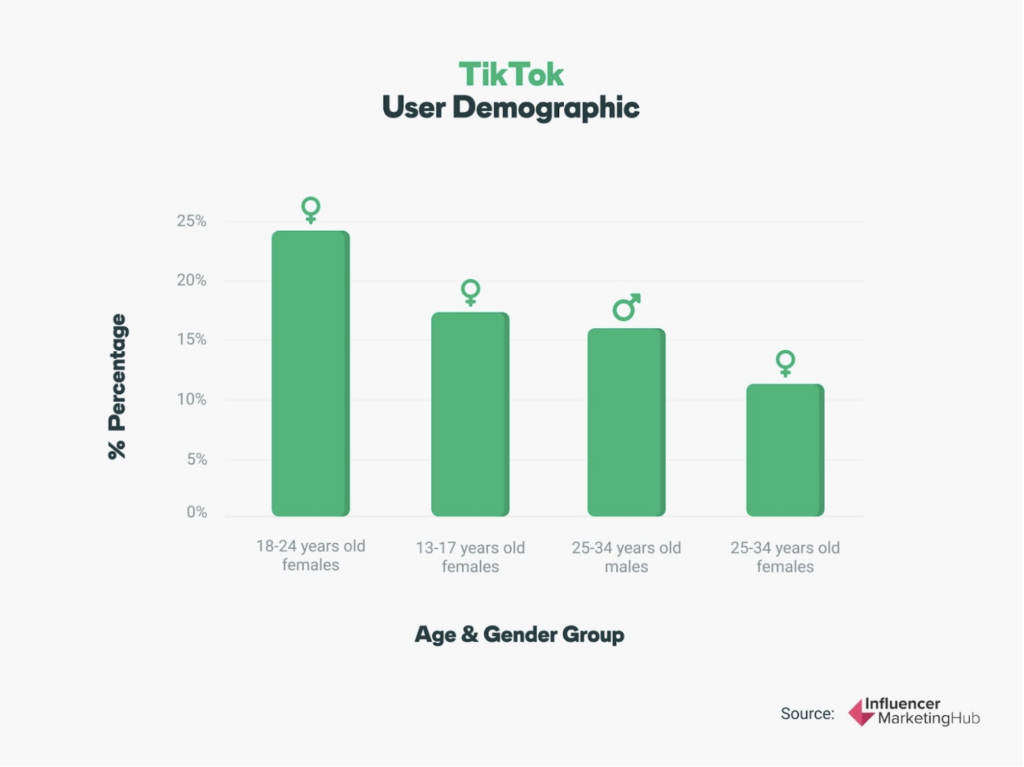 TikTok Demographics Statistic overview